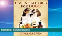 READ  Essential Oils for Dogs: A Complete Beginners Guide to using Safe Natural Remedies for Dogs