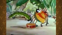Mickey Mouse En Español ◕‿◕ Dibujos Animados Para Niños ◕‿◕ , Minnie mouse & Parrot