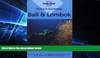 Ebook Best Deals  Diving and Snorkeling Bali and Lombok (Lonely Planet)  Full Ebook