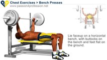 Chest Exercises׃ Bench Press[1]