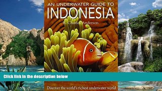 Best Buy Deals  An Underwater Guide to Indonesia  Best Seller Books Best Seller