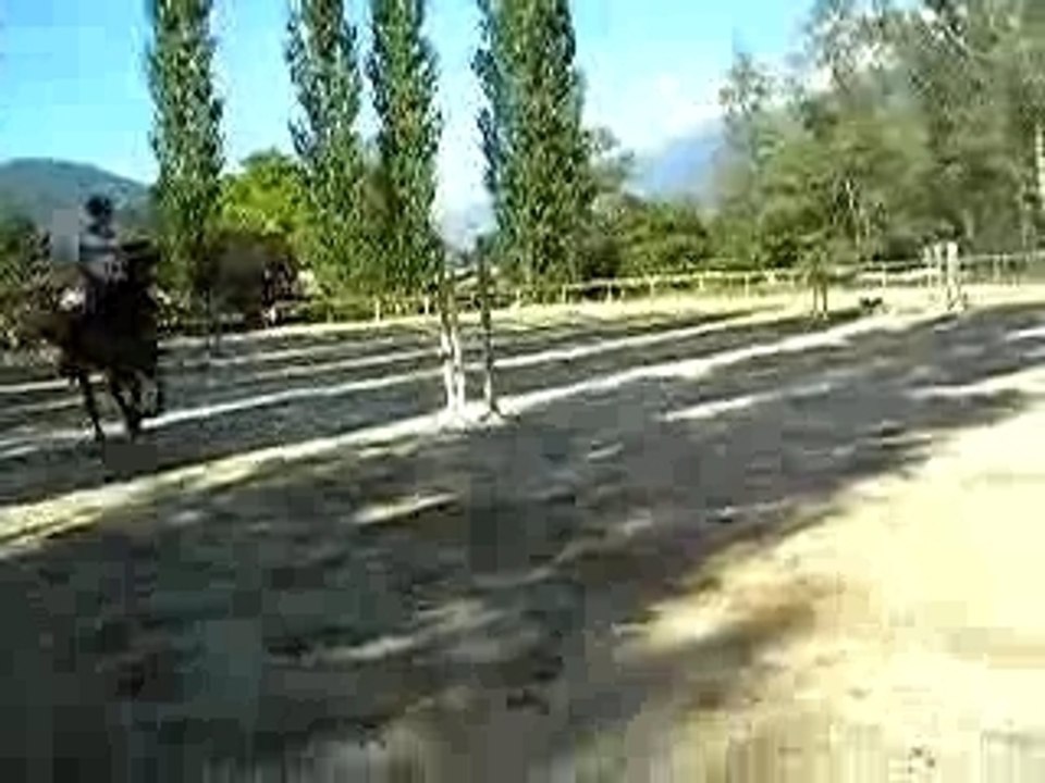 J't'adore o'hara et lucille 1