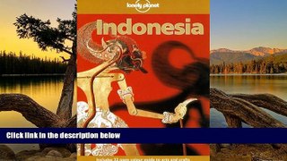 Big Deals  Lonely Planet Indonesia  Most Wanted