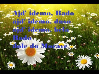 PREDRAG ZIVKOVIC TOZOVAC- AJD IDEMO RADO