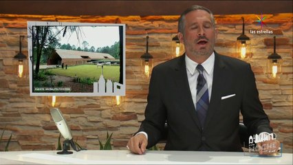Esta Noche con Arath Programa 12 | 07 Noviembre 2016 HD (Último Programa)