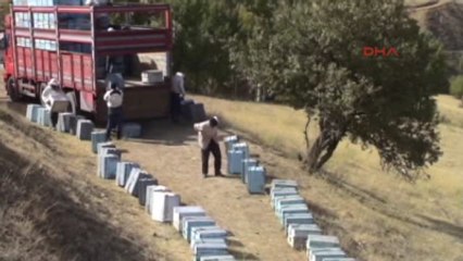 Muş - Arıcılar Göç Yolunda