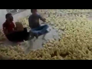 أجمل من هذا الفيديو لن تشاهد في حياتك