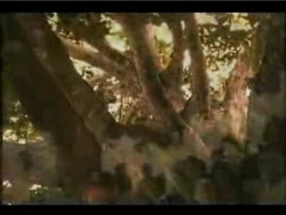 Queen ifrica - Rasta Nuh Chat Rasta