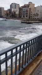 Un thon géant lutte pour ne pas s'échouer contre les rochers... Dingue