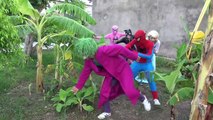 Joker vs Frozen Elsa vs Spiderman play hide and seek Pink Spidergirl catwomen fun superheroes pranks