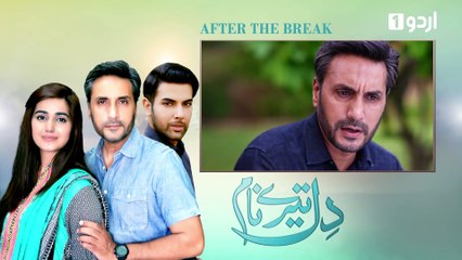 Dil Tere Naam Episode 4 Urdu1