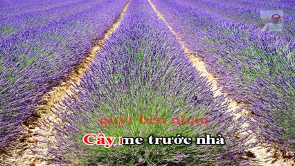 Cây Cầu Dừa - KARAOKE HD