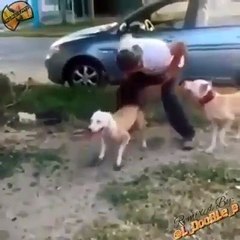 That Shit Crazy-Dod Jump 18 Ft Shocking Video Of The Year