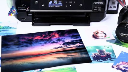 МФУ Epson Expression Premium XP-620 - обзор и комплектация