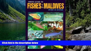 Big Deals  Photo Guide to Fishes of the Maldives  Most Wanted