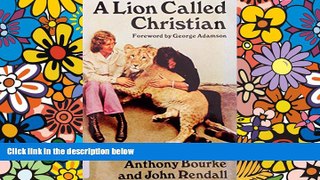 Must Have  A lion called Christian  Most Wanted