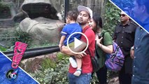 Raffi-Gigi Ajak Rafathar ke Kebun Binatang - Cumicam 11 November 2016
