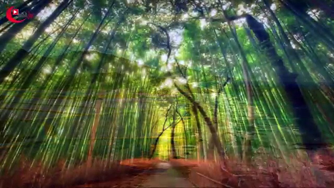 اجمل مناظر طبيعية خلابة فى العالم - لن تصدق انها حقيقية