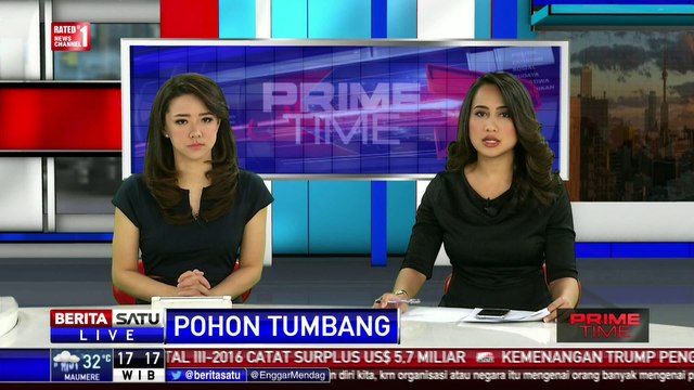 Pemprov DKI Bahas Pencegahan Pohon Tumbang