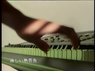 淋しい熱帯魚(M.V.) _ Wink