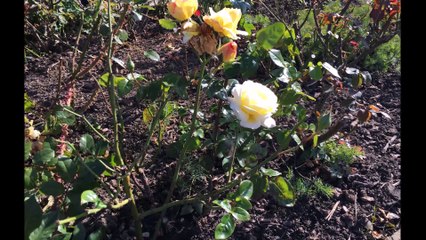 The Spirit of North England Folge 04 /Full Film/Complete Movie/Ganzer Film