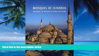 Big Deals  Mosques of Istanbul  Best Seller Books Best Seller