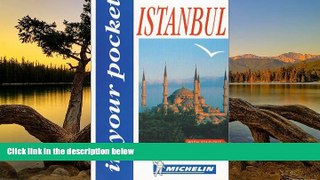 READ NOW  Michelin: Instanbul in Your Pocket  Premium Ebooks Online Ebooks