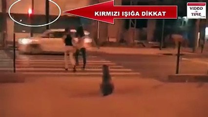 Perro obedece las señales y las personas no