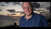 Sir David Attenborough is finally coming to NZ