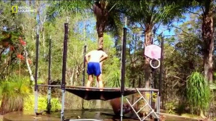 fun video science of stupid