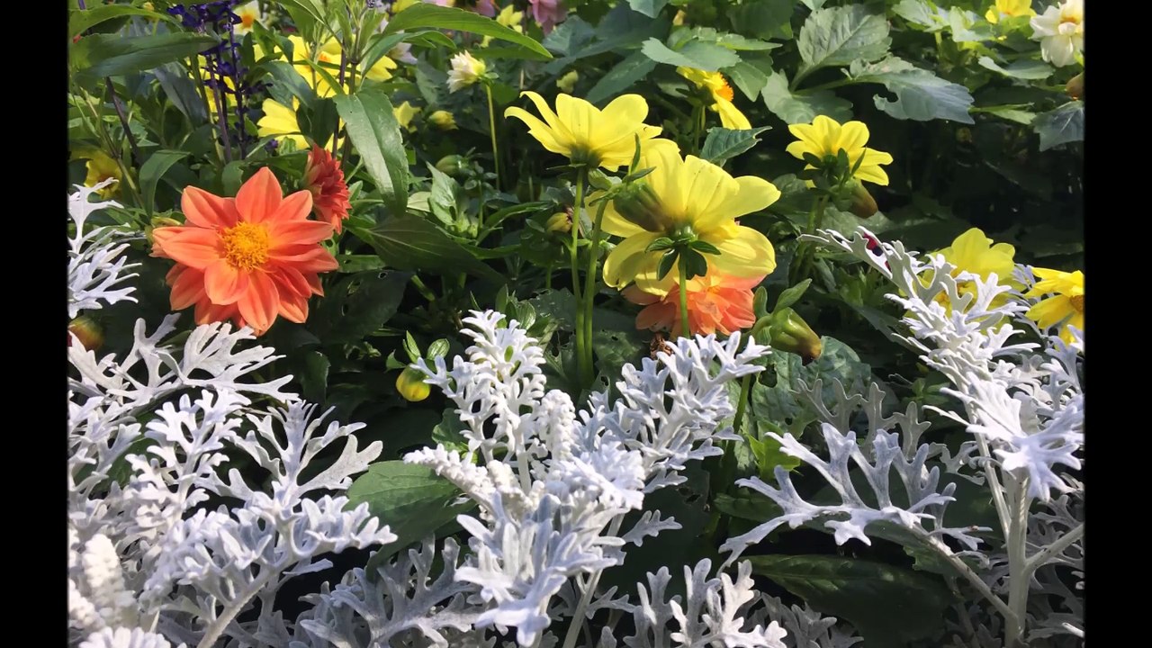 The Spirit of North England Folge 07 /Full Film/Complete Movie/Ganzer Film