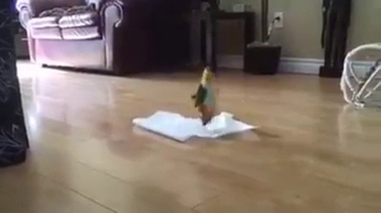 like a bird :D