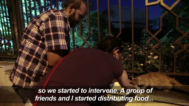 Shelter lends helping paw to animal victims of Syria war