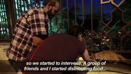 Shelter lends helping paw to animal victims of Syria war