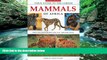 Big Deals  Field Guide to the Larger Mammals of Africa  Best Seller Books Best Seller