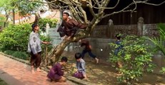 Hài tết 2017 Mới Nhất - Vợ Khôn Chồng Khờ - Tập 4 - Phim Hài Quang Tèo, Quốc Anh, Xuân Nghĩa