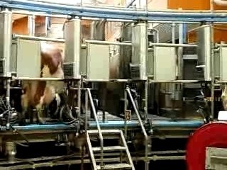 Collecte lait