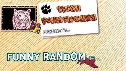 Random stupid funny fails - Funny fail compilation