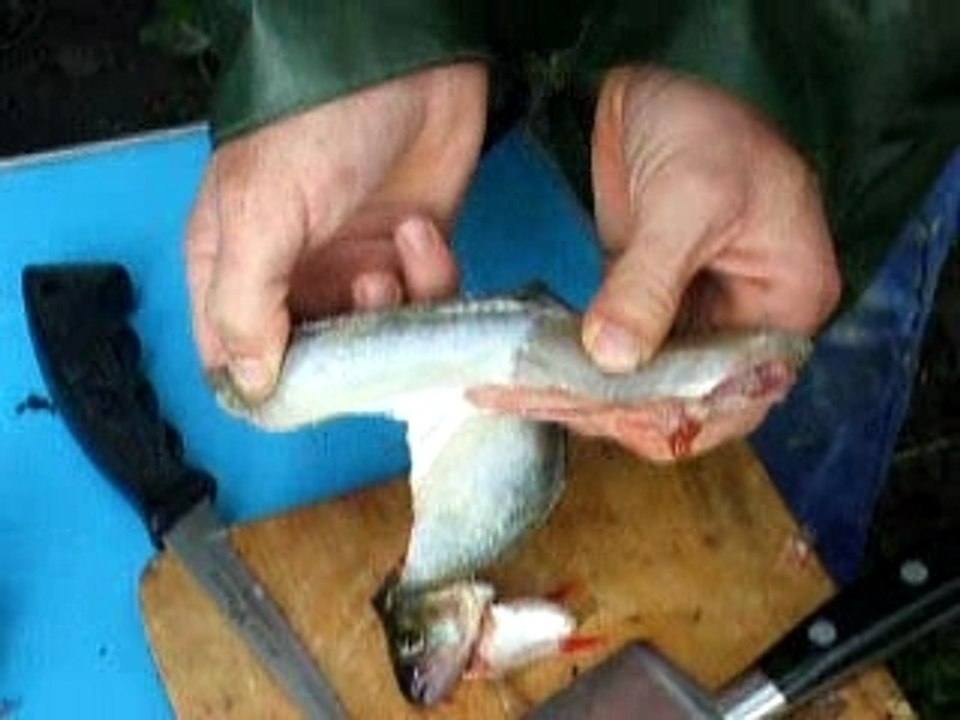 pélère en eau douce3