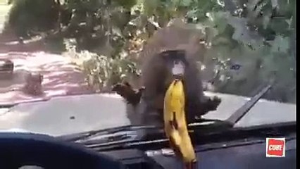 Quand ton gouter n'est pas du bon coté de la vitre