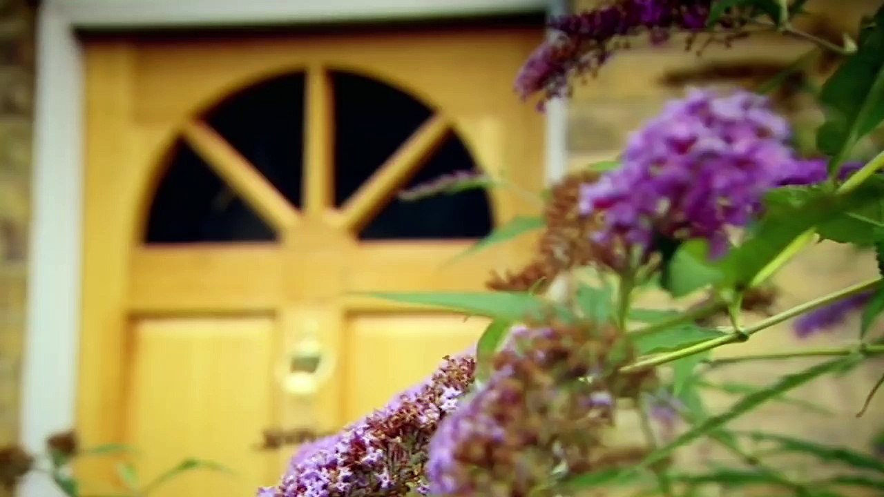 Mother of 9 Keeps House Sparkling Clean | Obsessive Compulsive Cleaners