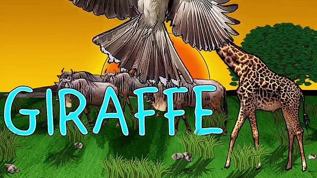 Animal Finger Family Nursery Rhymes Song! Finger Family Song Animals Wild Animals Finger Family Song