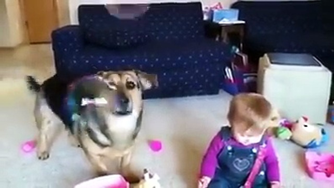 Funny Baby Latest Video 2016