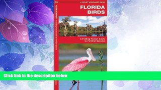 Big Sales  Florida Birds: A Folding Pocket Guide to Familiar Species (Pocket Naturalist Guide