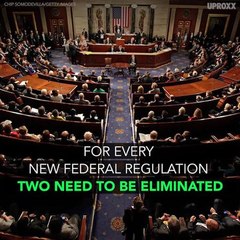 Here's What Is In Trump's 100 Days Plan