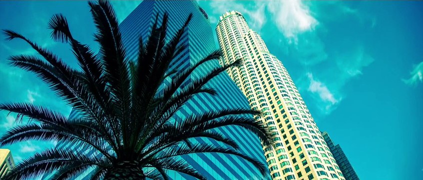 Le Président Donald Trump en France (Parodie)