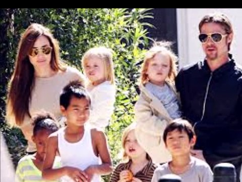 Brad Pitt breaks his silence over Angelina Jolie split