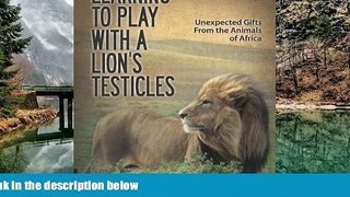 READ NOW  Learning to Play With a Lionâ€™s Testicles: Unexpected Gifts From the Animals of Africa