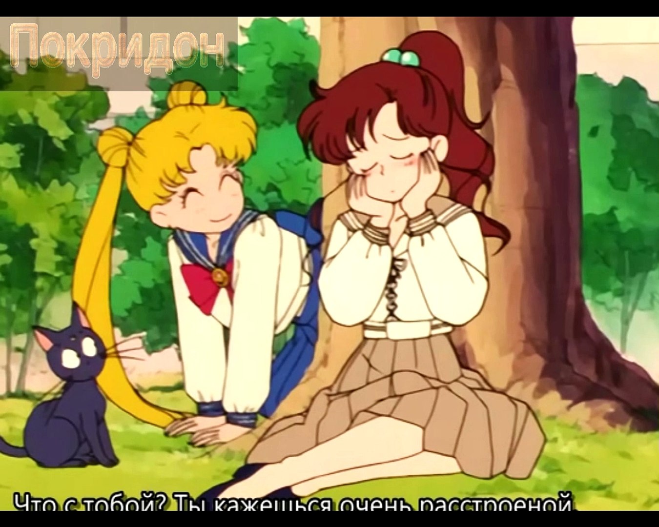 Обзор 29 серии ''Лунная Матроска''