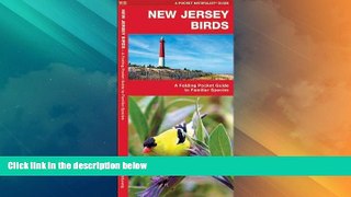 Deals in Books  New Jersey Birds: A Folding Pocket Guide to Familiar Species (Pocket Naturalist